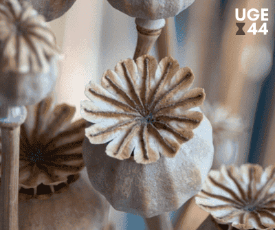 Hvad skal der ske, når du dør?