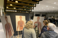 vejle7